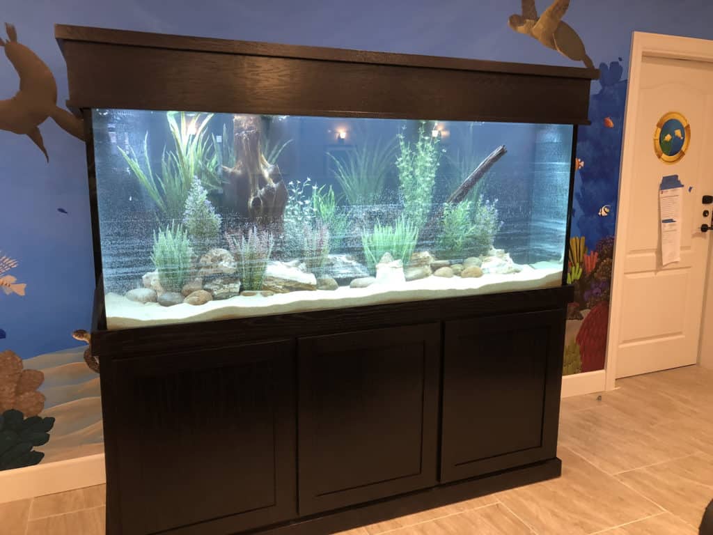 Lewisville Gallery fish tank 4785 1