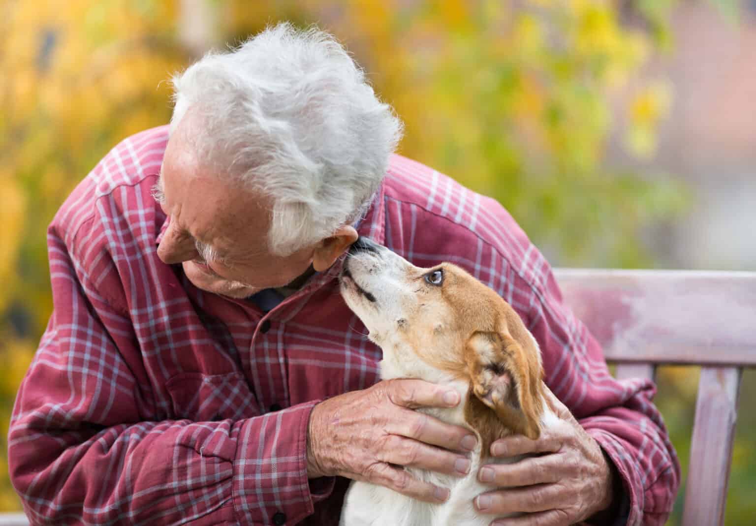 seniors-and-caring-for-pets-the-impressive-benefits-inspired-living