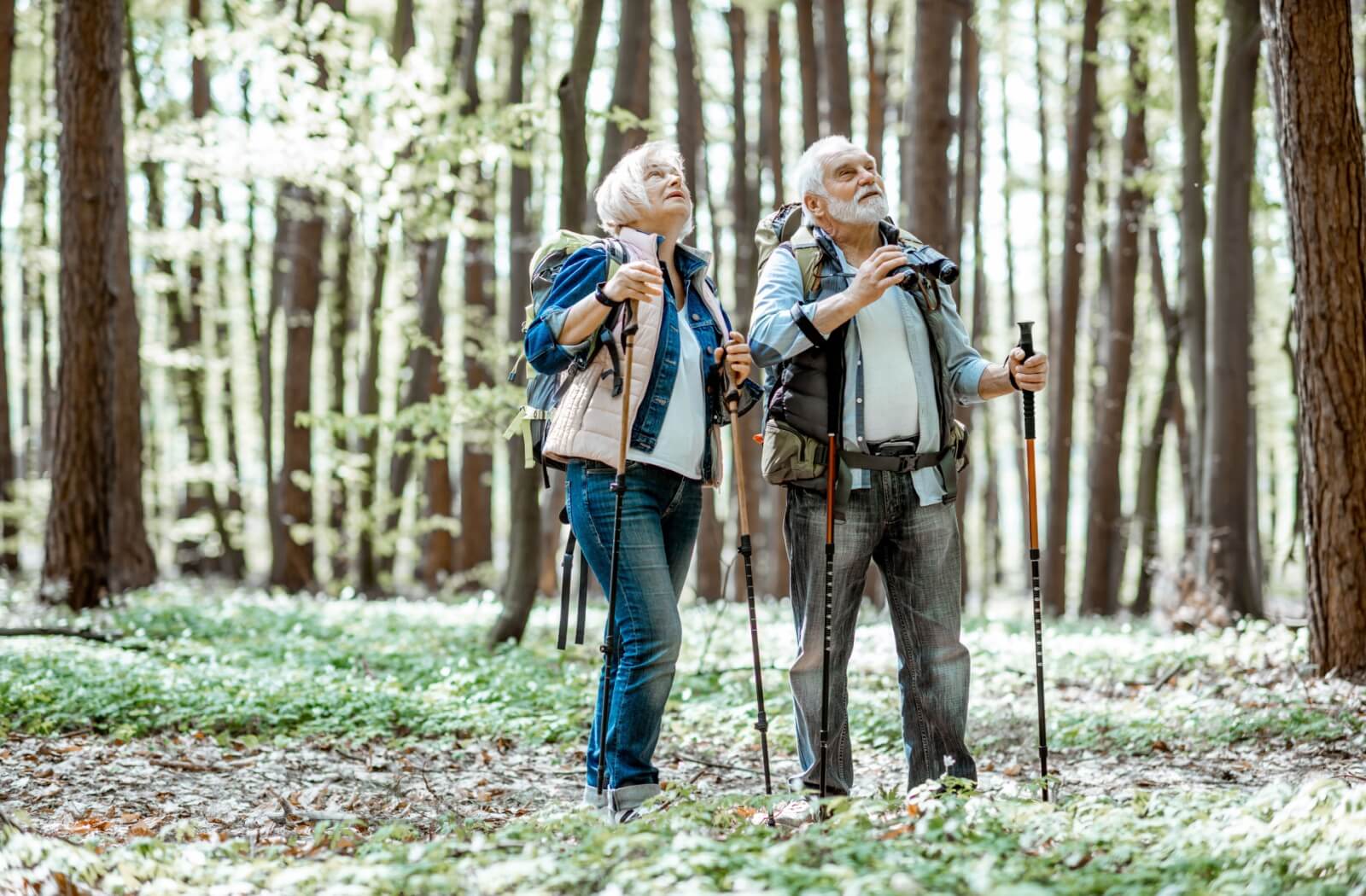 Older man and woman with hiking poles in forest, looking up at trees. Man is holding binoculars.